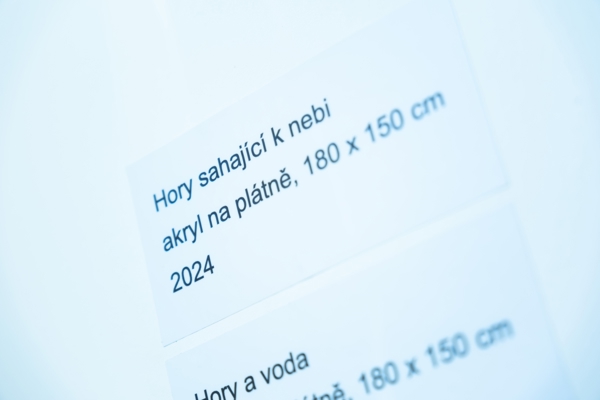 Fotografie č.12