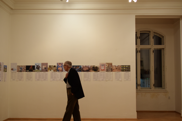 Fotografie č.11